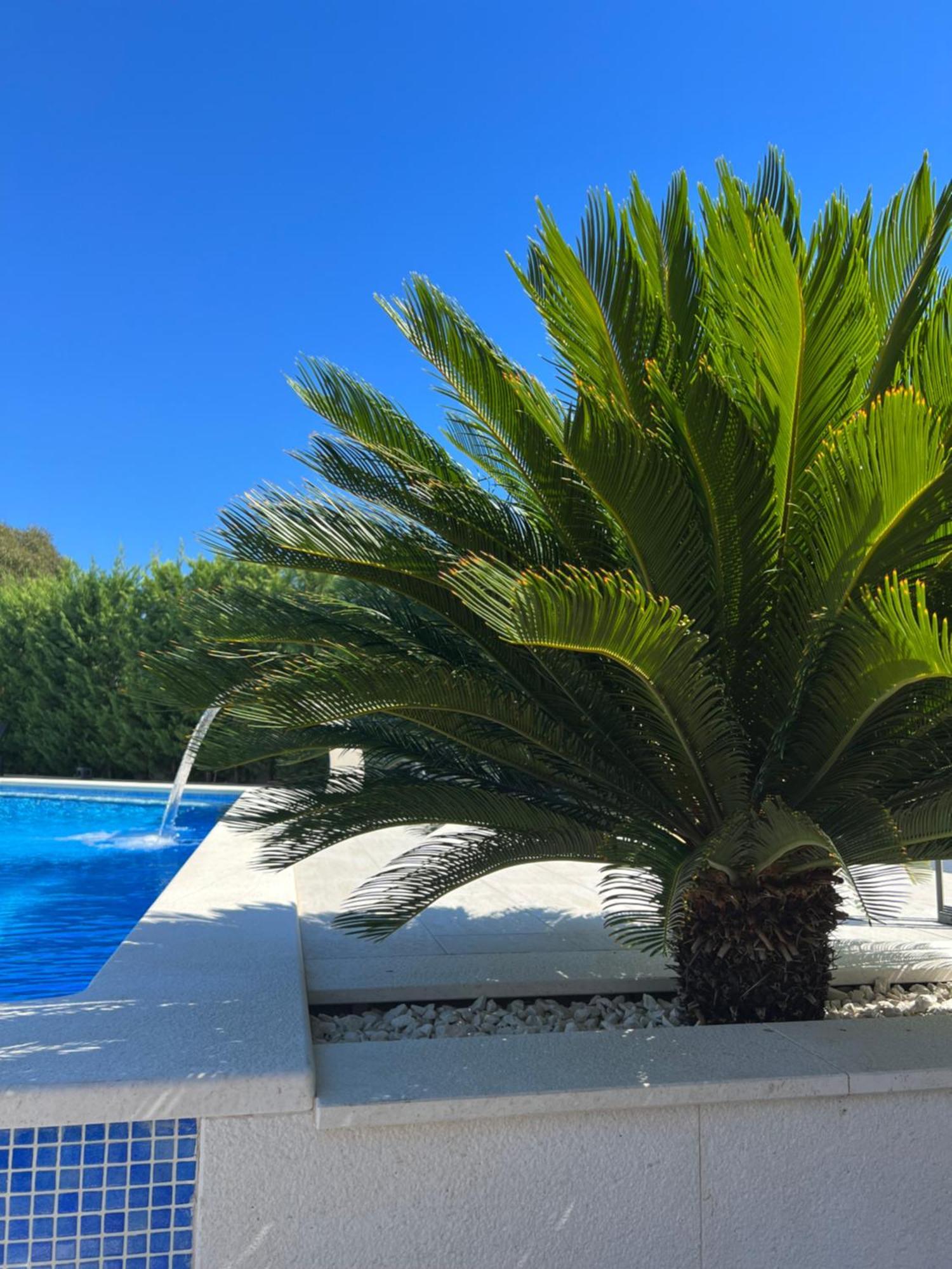 Luxury Sundance Vila Trogir